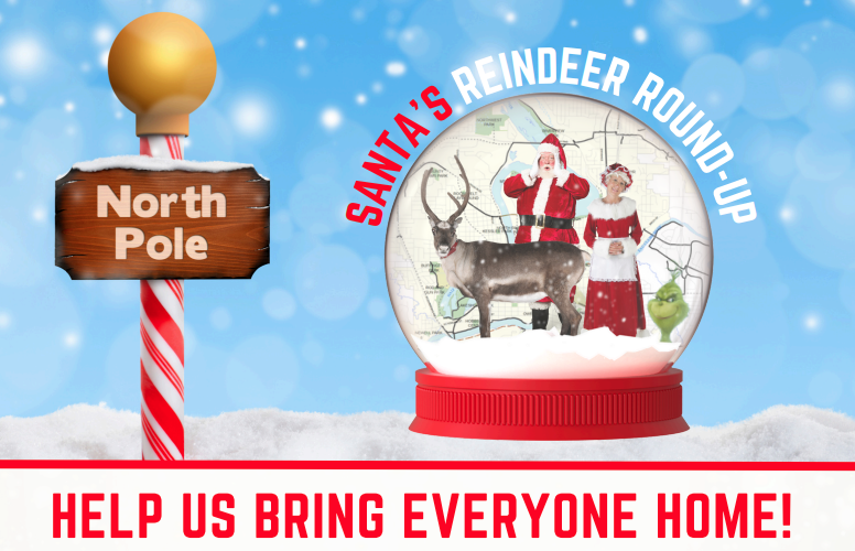 A flyer for the Reindeer Round-Up event. A snow globe set against a blue snowy sky, with Santa, Mrs. Claus, and a Reindeer inside. Text reads "Santa's Reindeer Round-Up. Help us bring everyone home!"