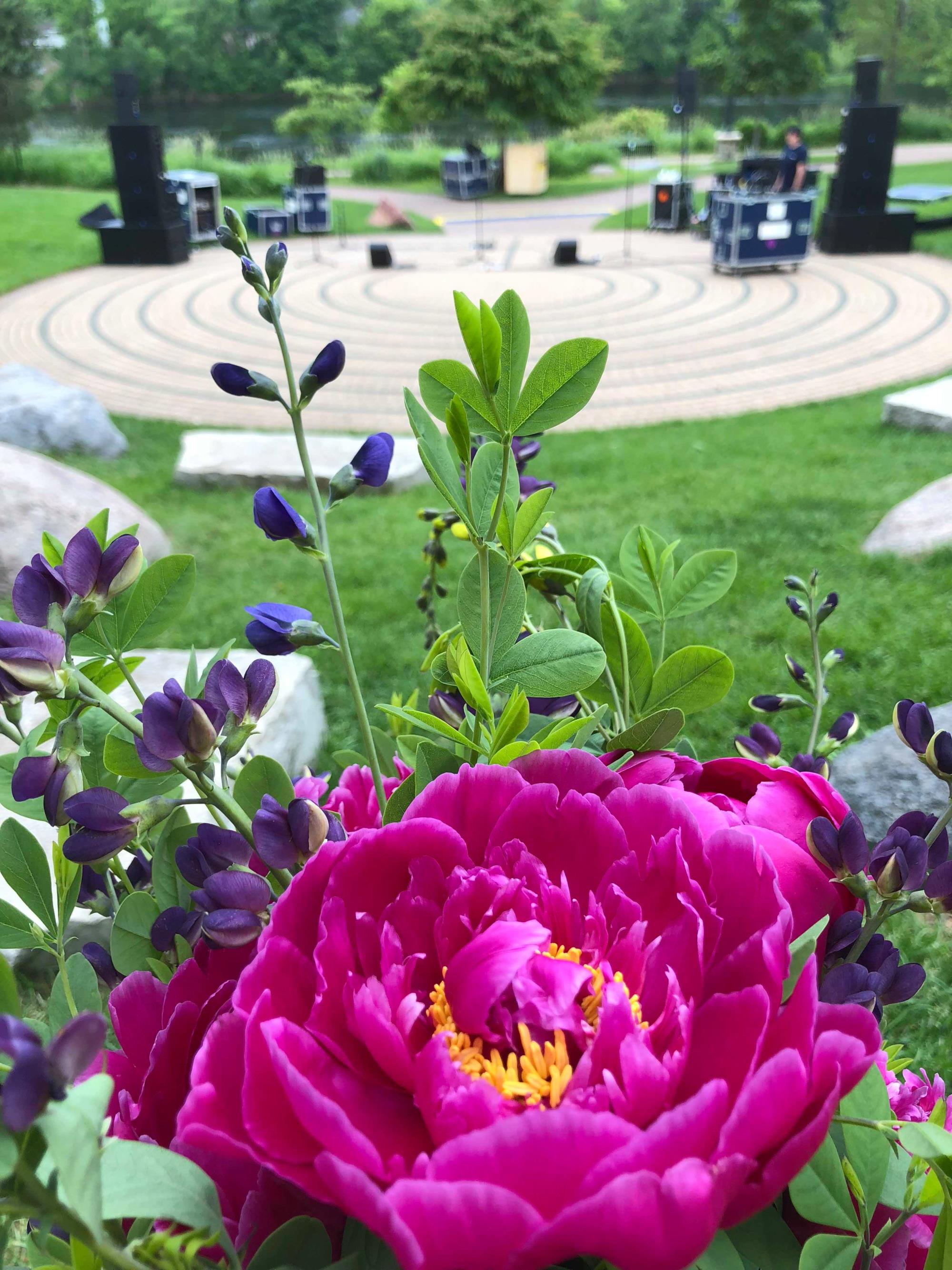 Flower and Labyrinth pic